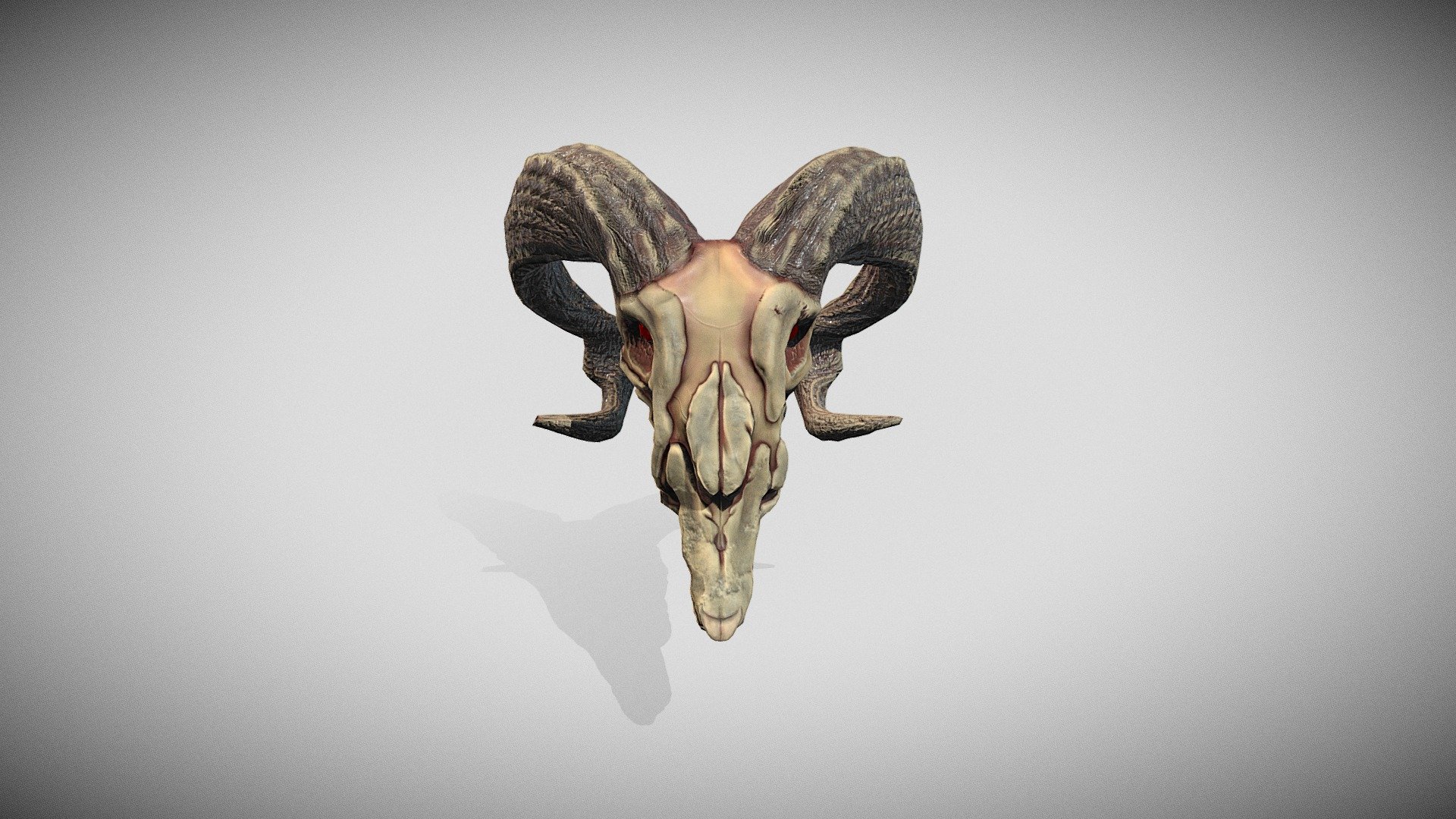 goat skull GAMEREADY 3d model