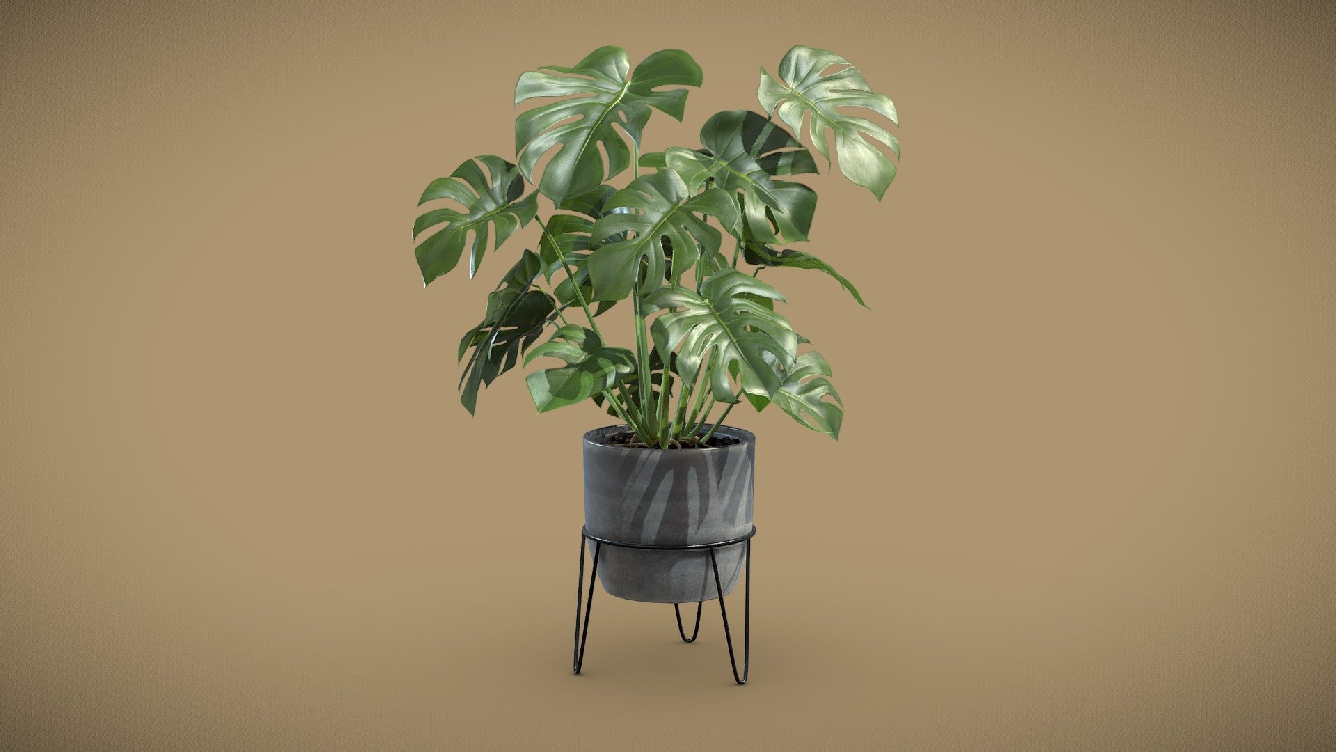 Monstera Deliciosa Pot Stand 3d model