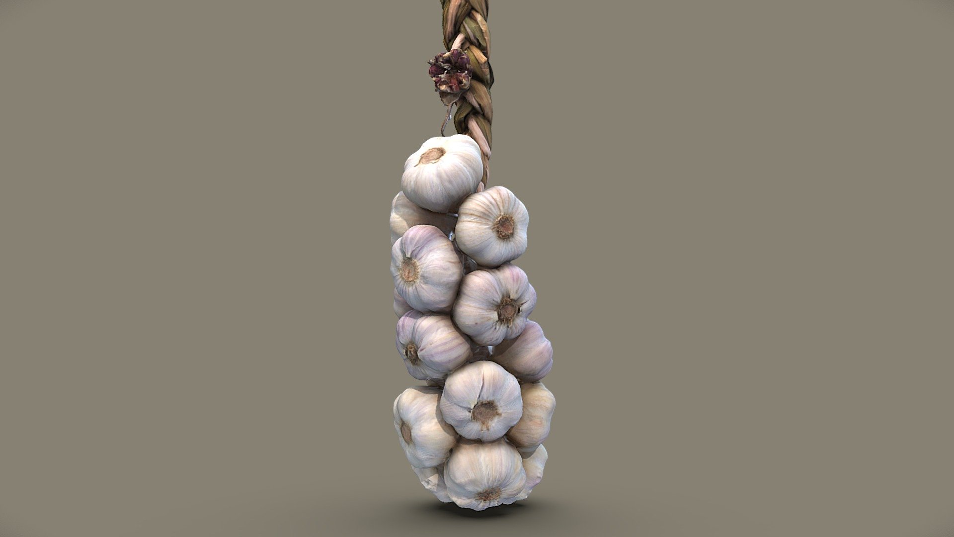 Garlic Braid 3d model