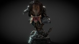 Predator bust _2021