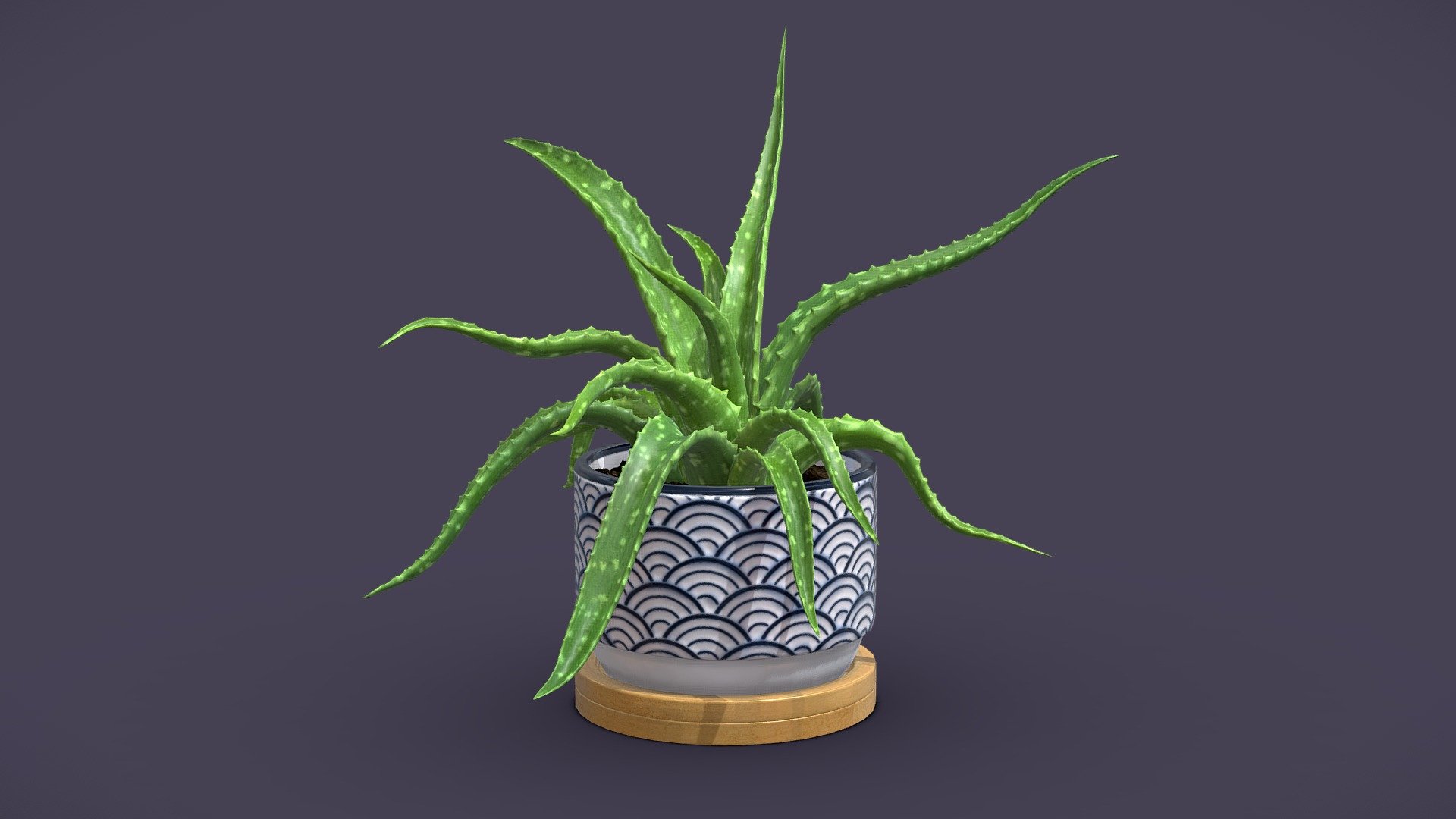 Aloe Vera Small Pot 3d model