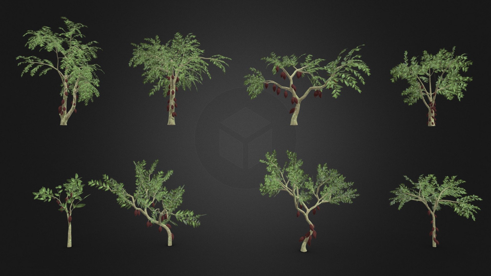 Cacao Tree- Brown Fruit- Pack 01 3d model