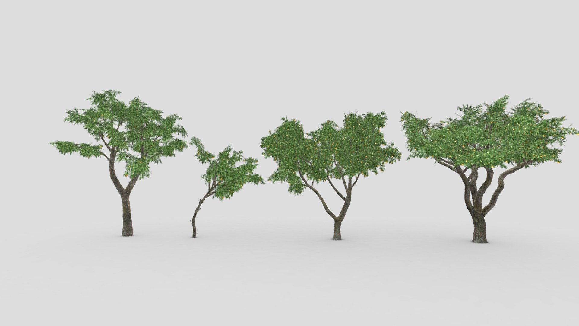 Orange Tree- Pack- 02 3d model