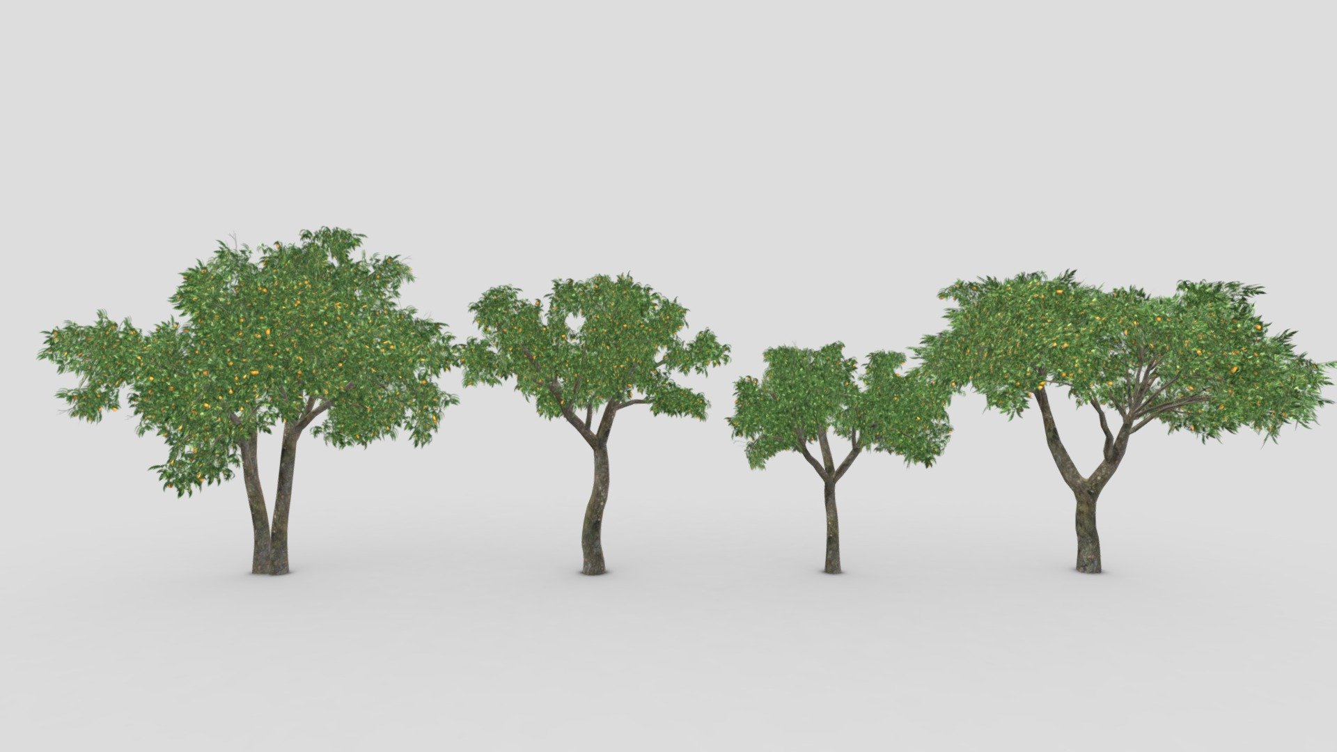 Orange Tree- Pack- 03 3d model