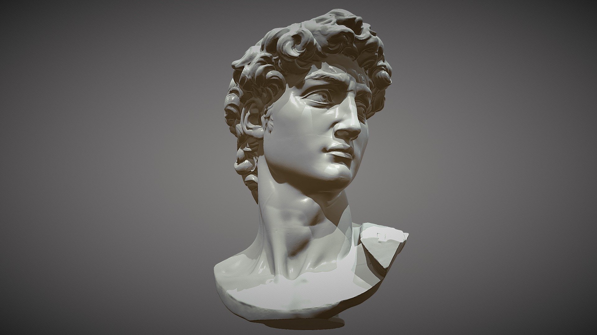 Michelangelo 3d model