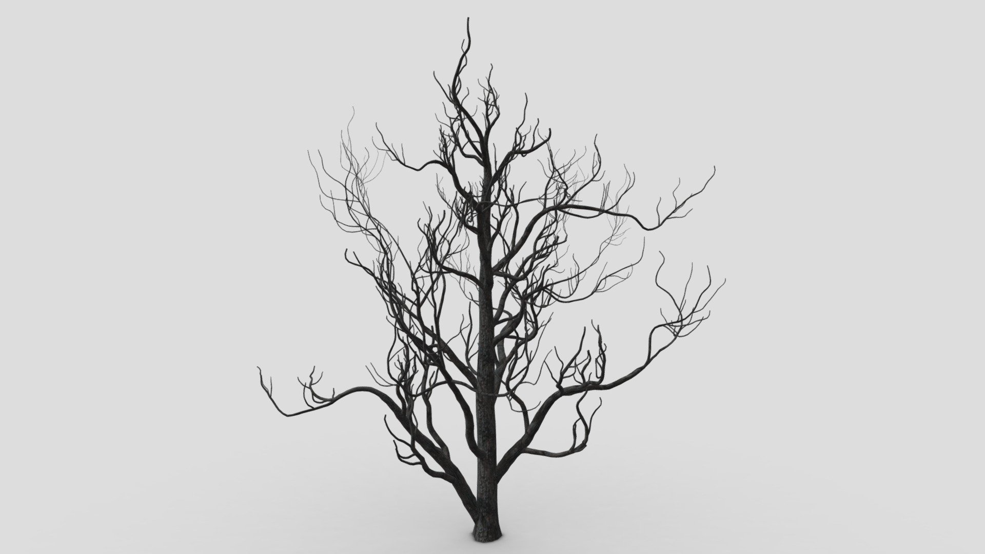 Halloween Tree-SK-36 3d model