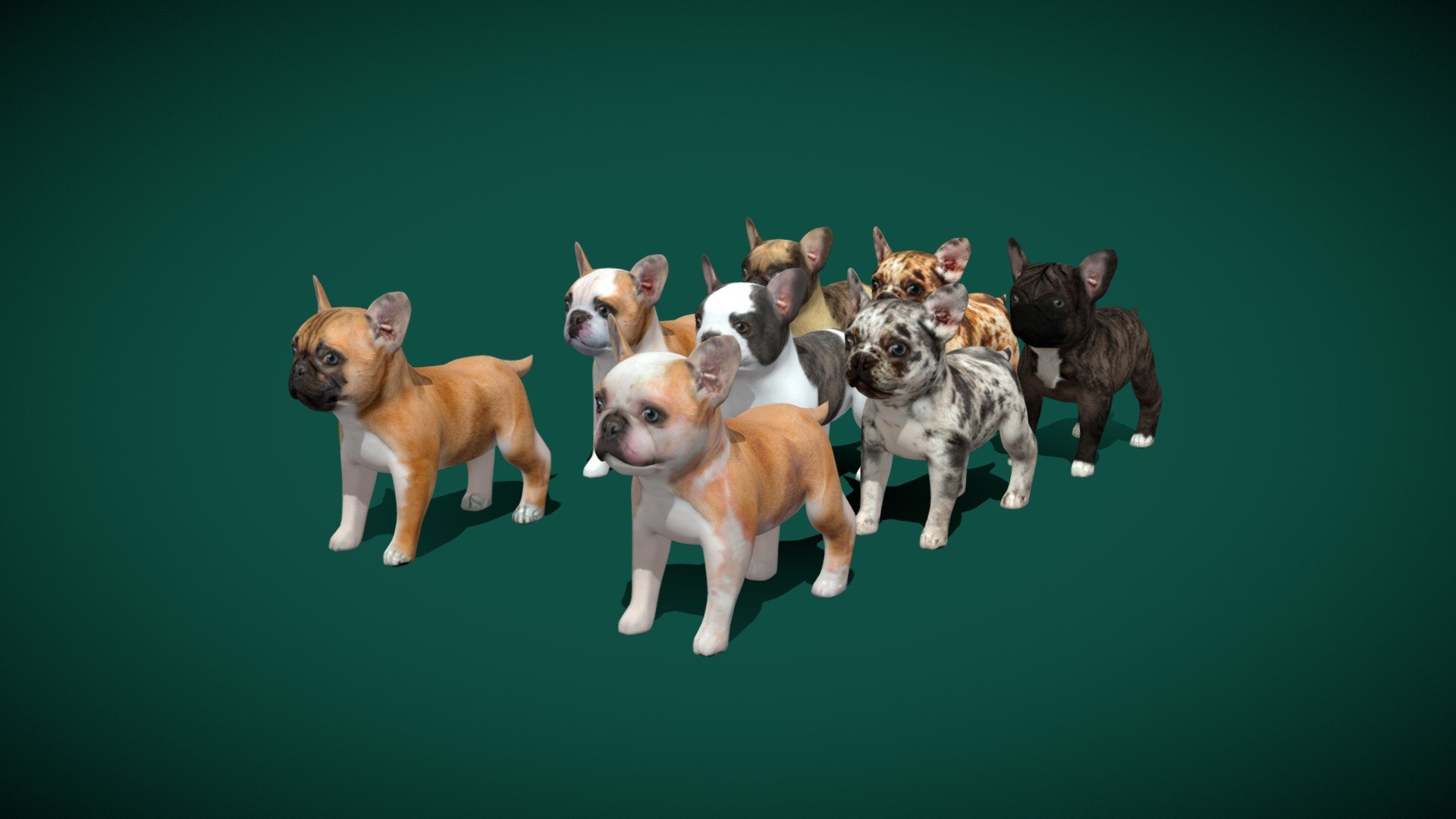 French_Bull_Dog 3d model