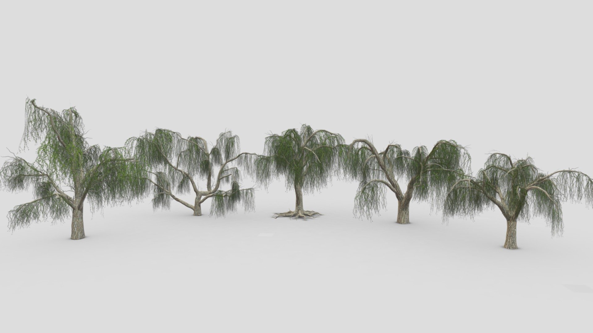 Weeping Willow Tree Pack-P2 3d model