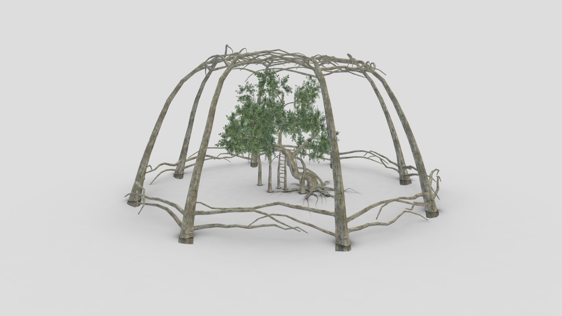 Chinese Banyan Tree- S9 3d model