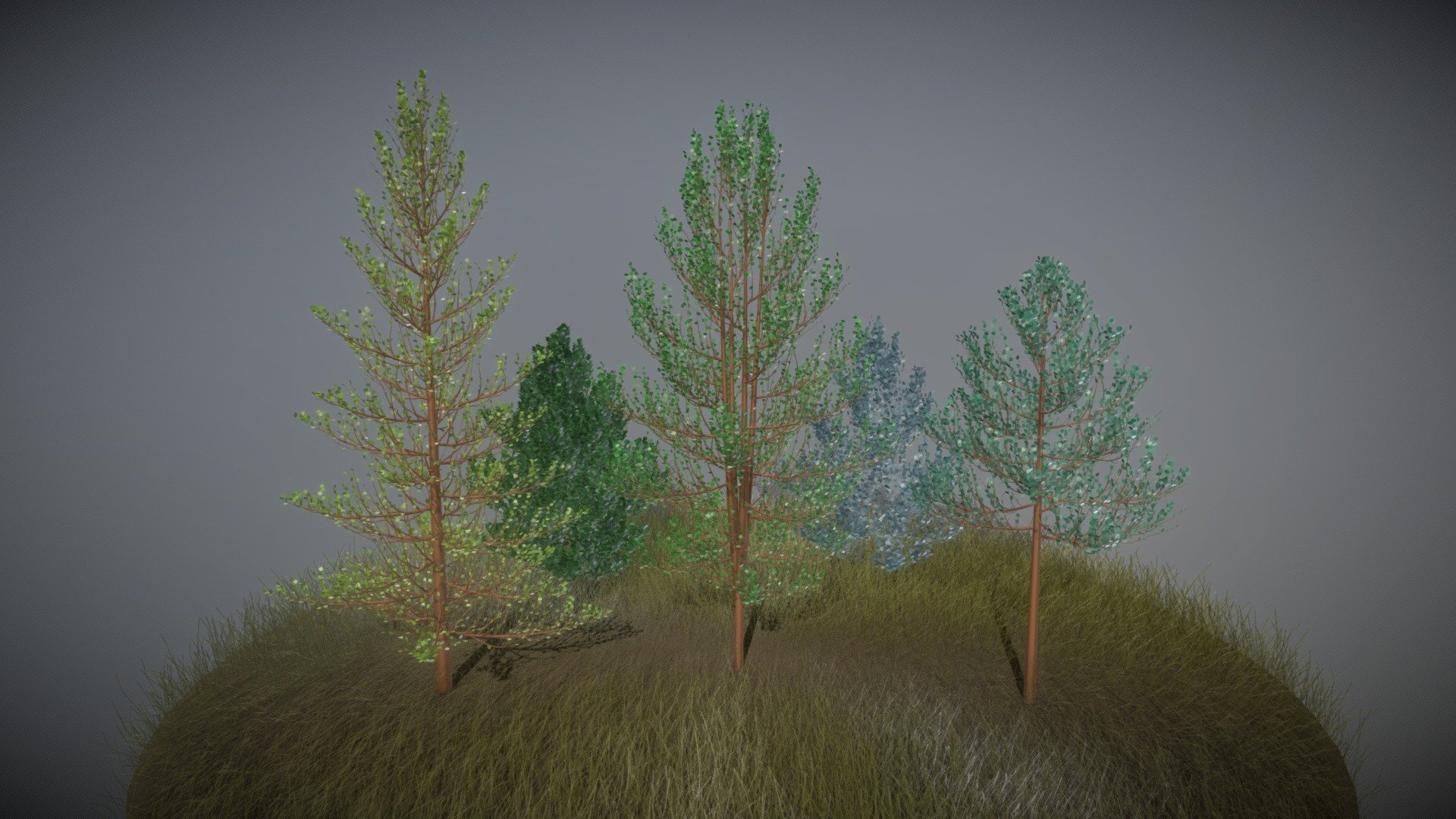 Small Forest 3d model