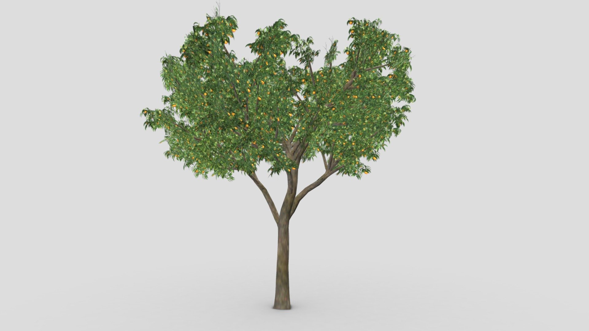 Orange Tree- S14 3d model