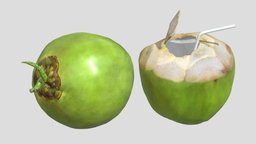 Coconut 02 Low Poly PBR