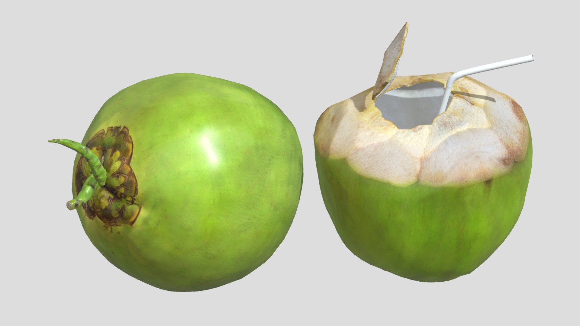 Coconut 02 Low Poly PBR 3d model