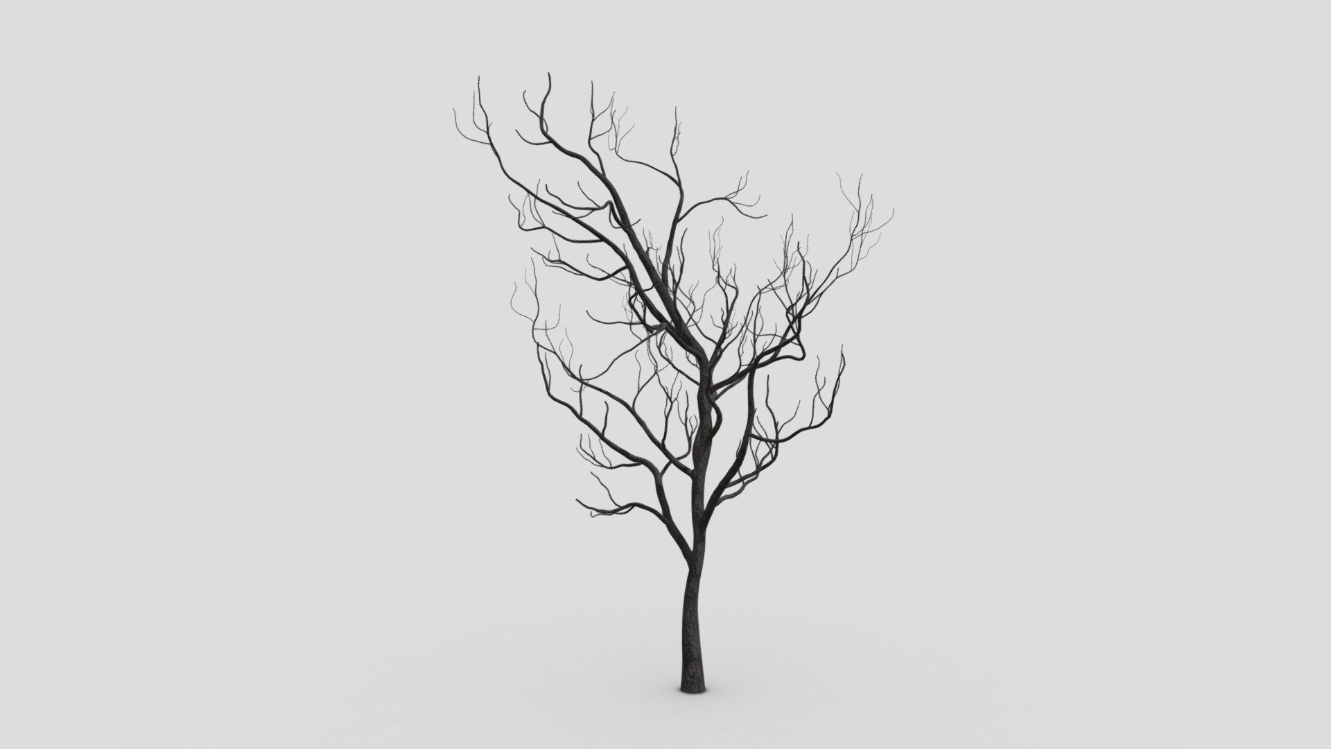 Halloween Tree-SK-32 3d model