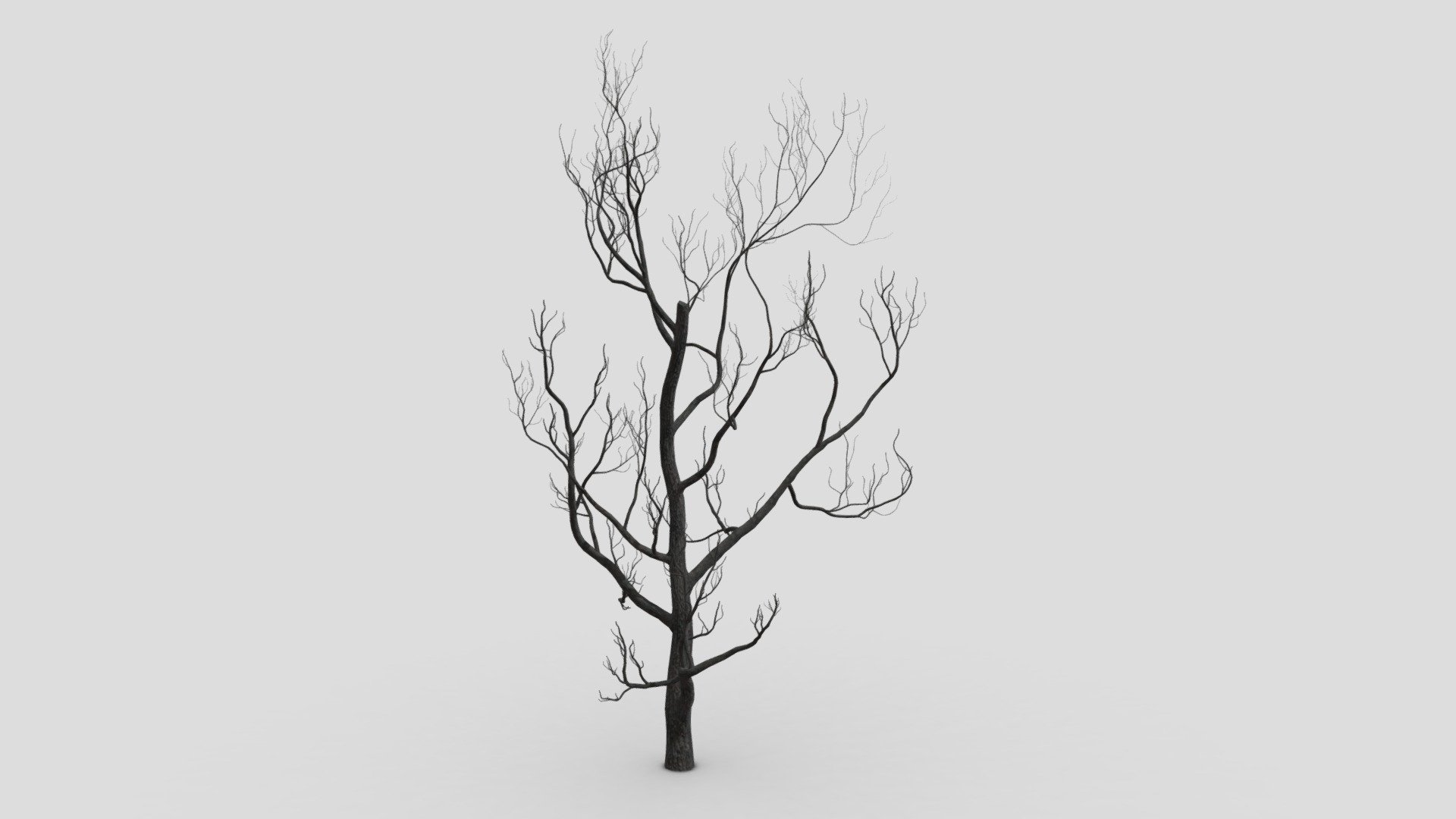 Halloween Tree-SK-33 3d model