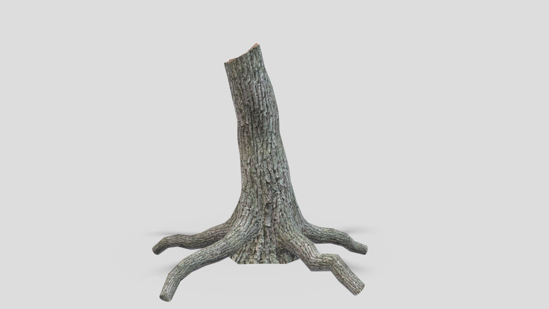 Stump Tree-01 3d model