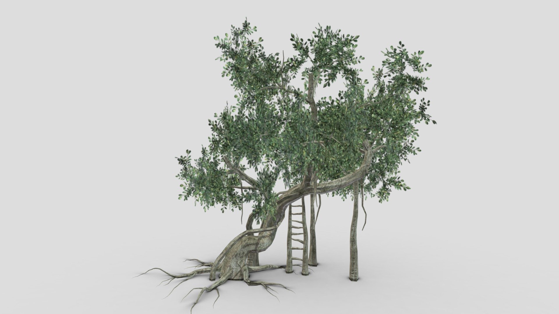 Chinese Banyan Tree- S9 Rev 3d model