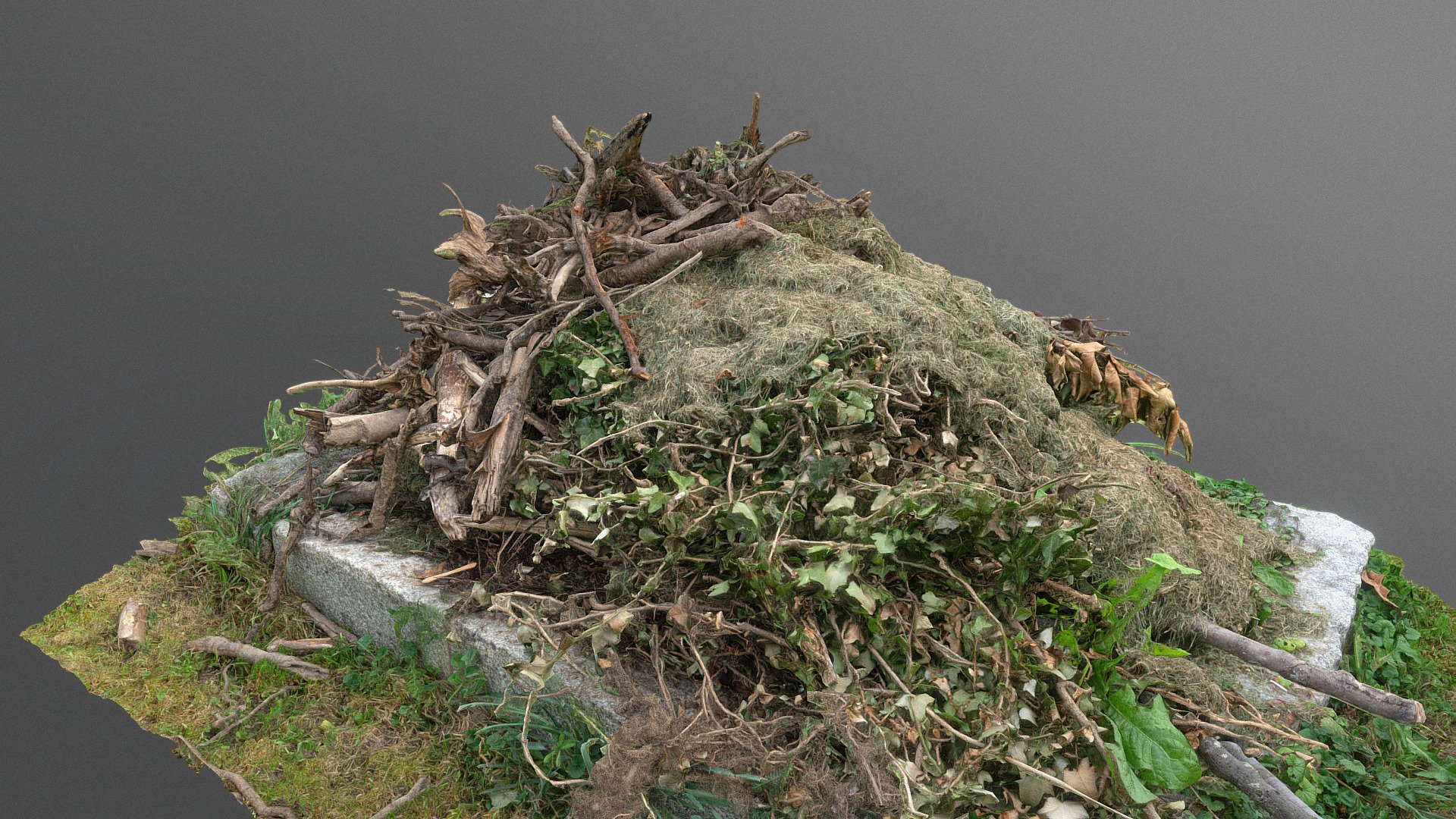 Cut branches grass campfire 3d model