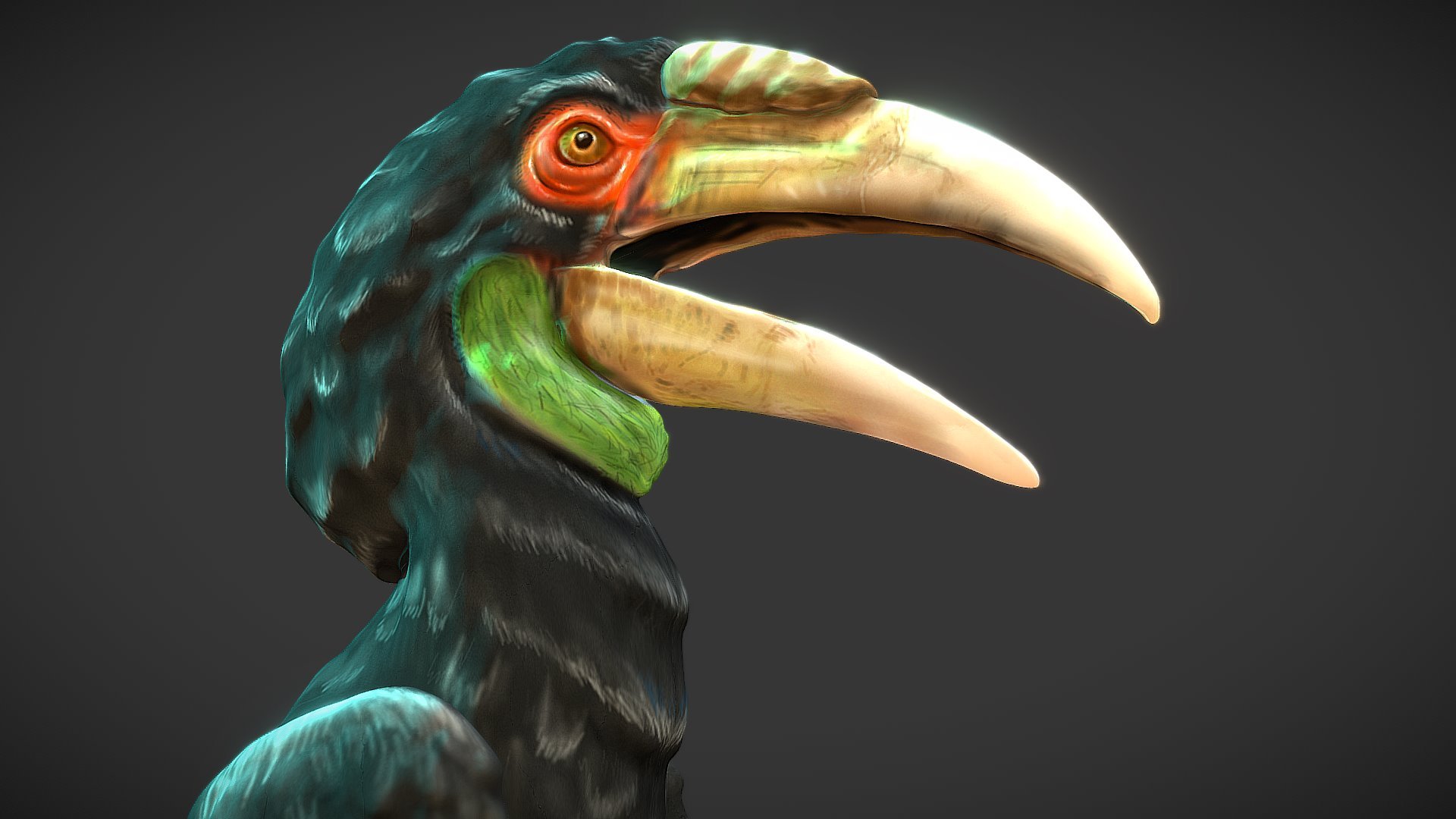 Hornbill 3d model