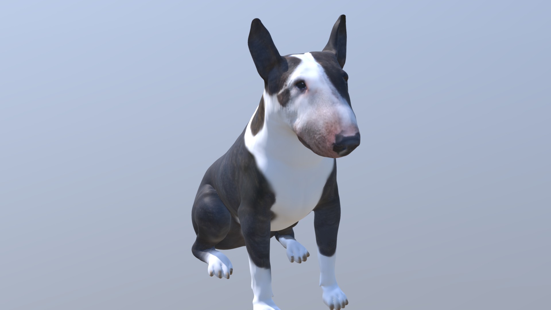 1811004- Luna- Bull Terrier 3d model