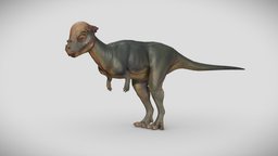 Pachycephalosaurus