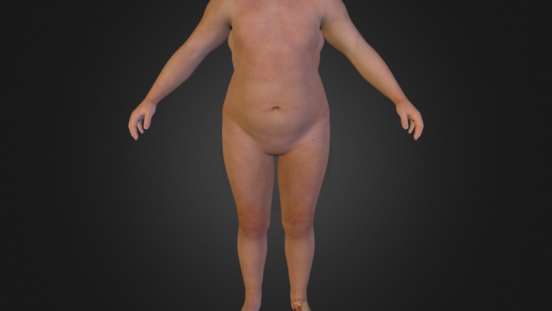 Body Fat 3d model