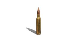 5.56x45 Ammo