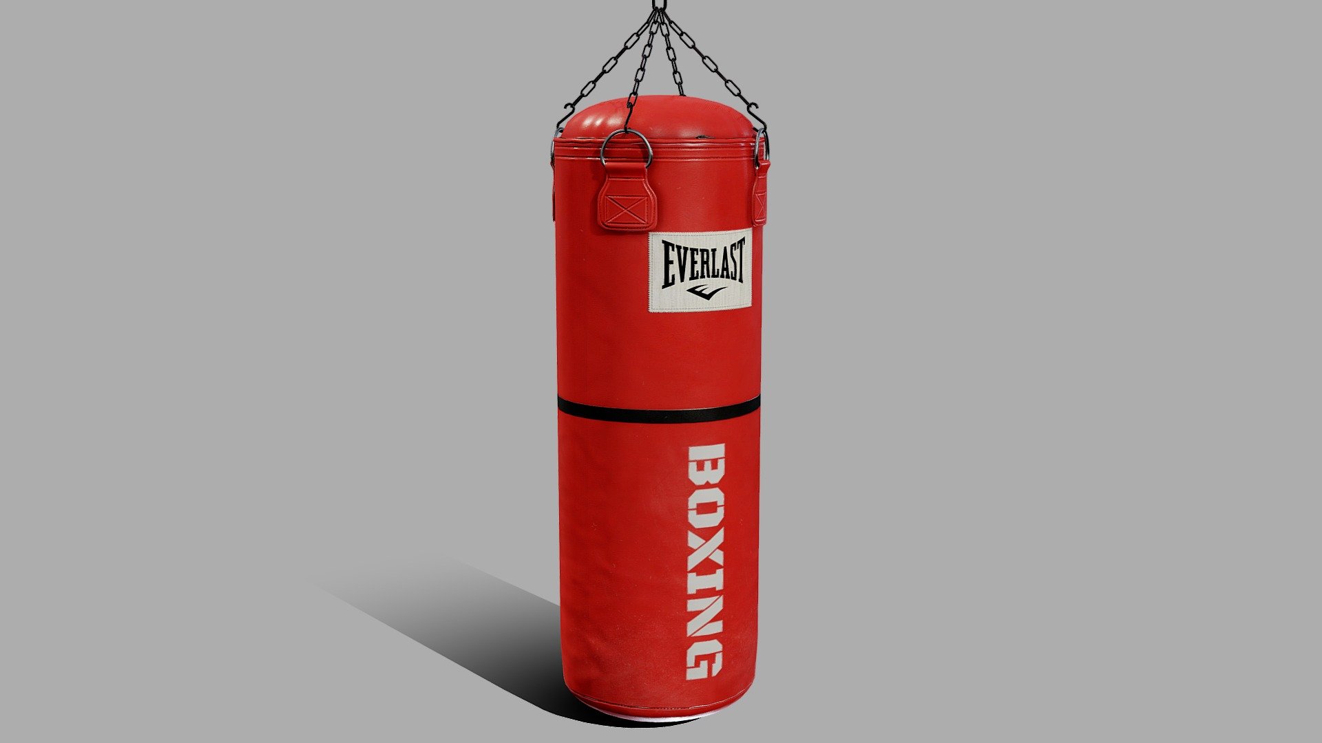 Everlast Punching Bag 3d model