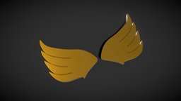 Wing Shape Model