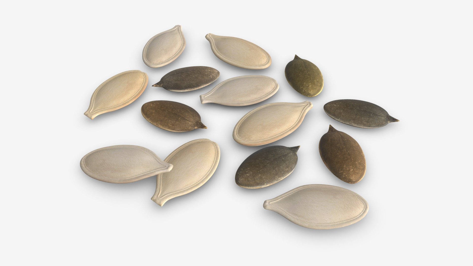 Pumpkin seeds 3d model