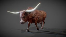 Texas Longhorn by CMW