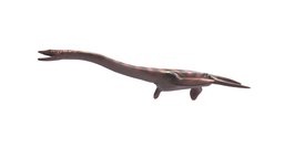 Plesiosaurus dolichodeirus