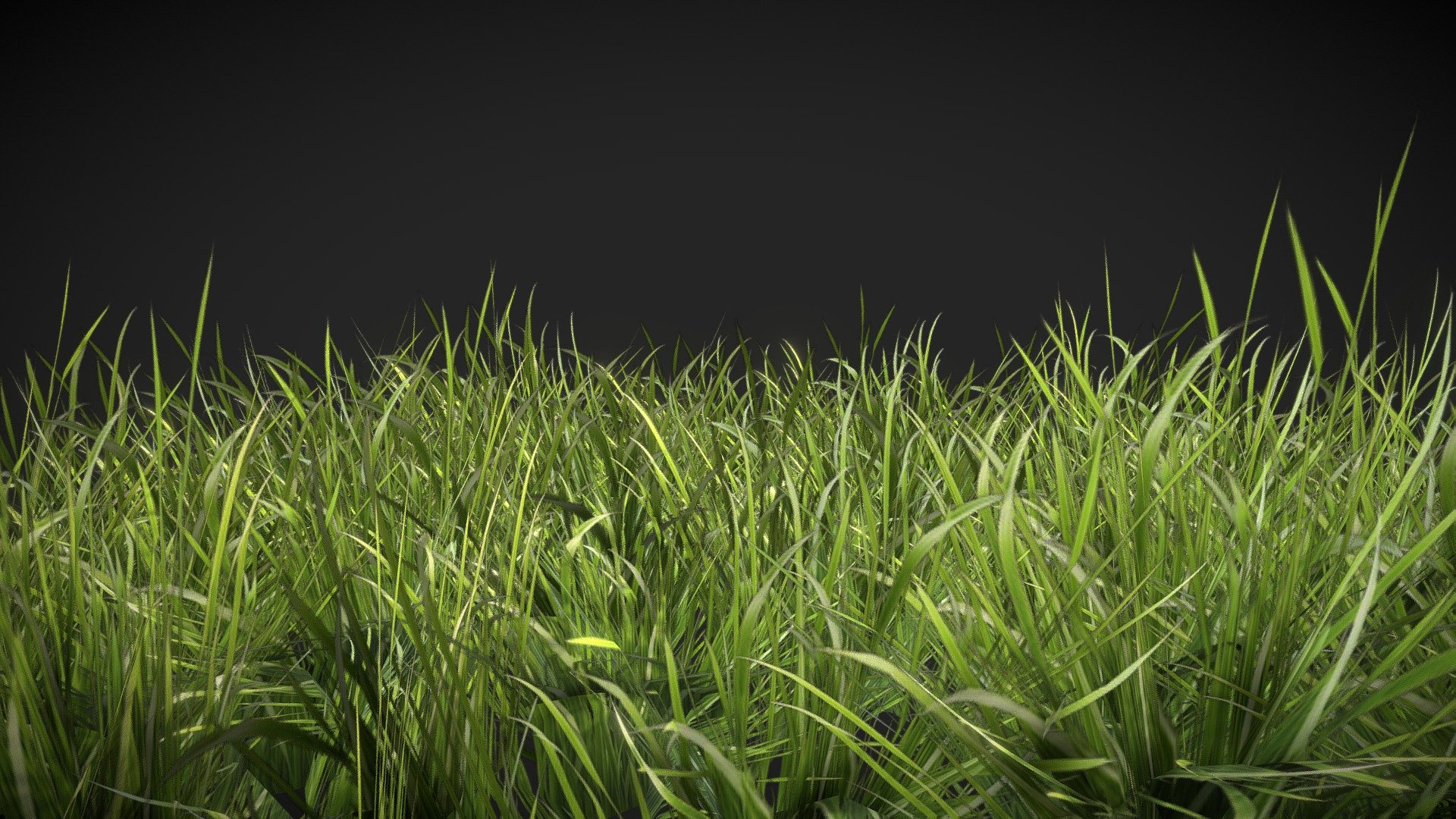 Realistic Grass 3D (920Polygons) 3d model