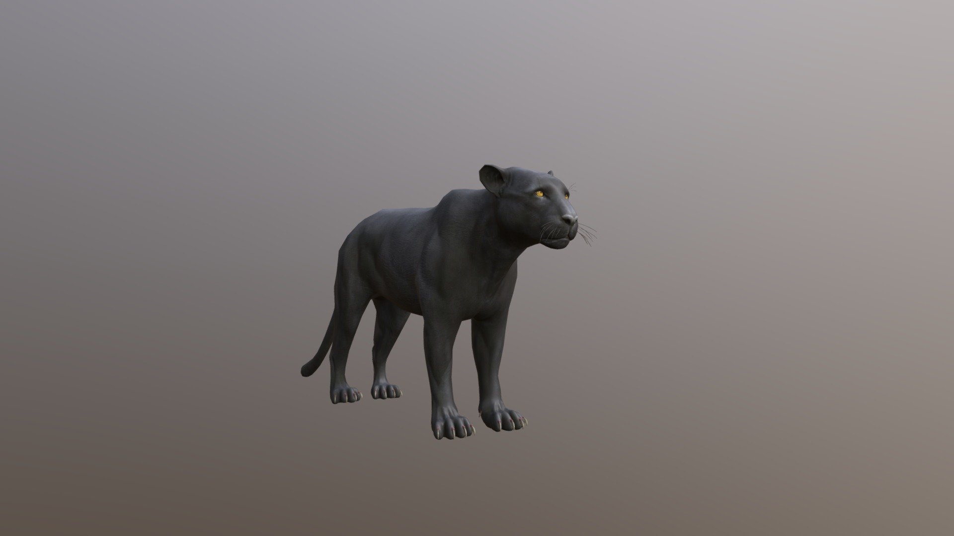 black panther 3d model