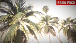 Realistic Palm Pack