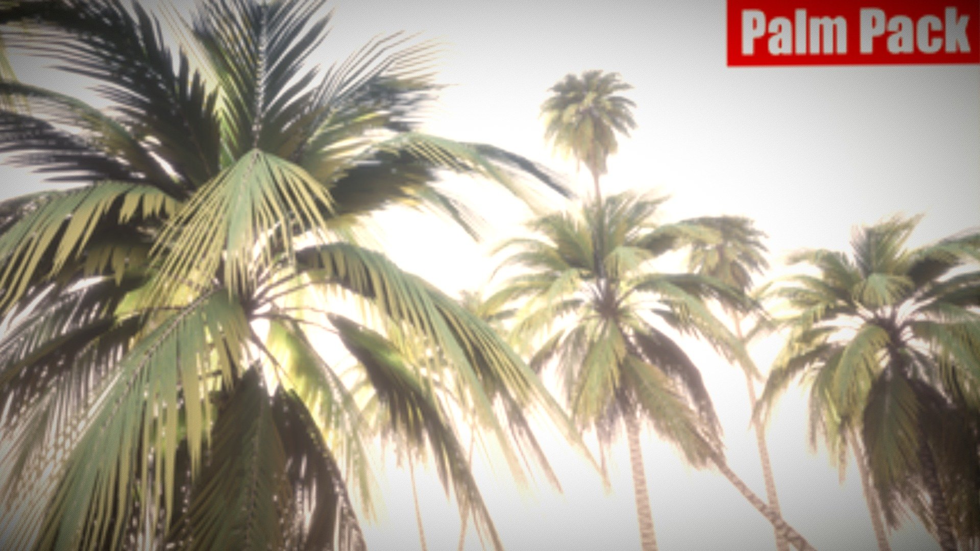 Realistic Palm Pack 3d model