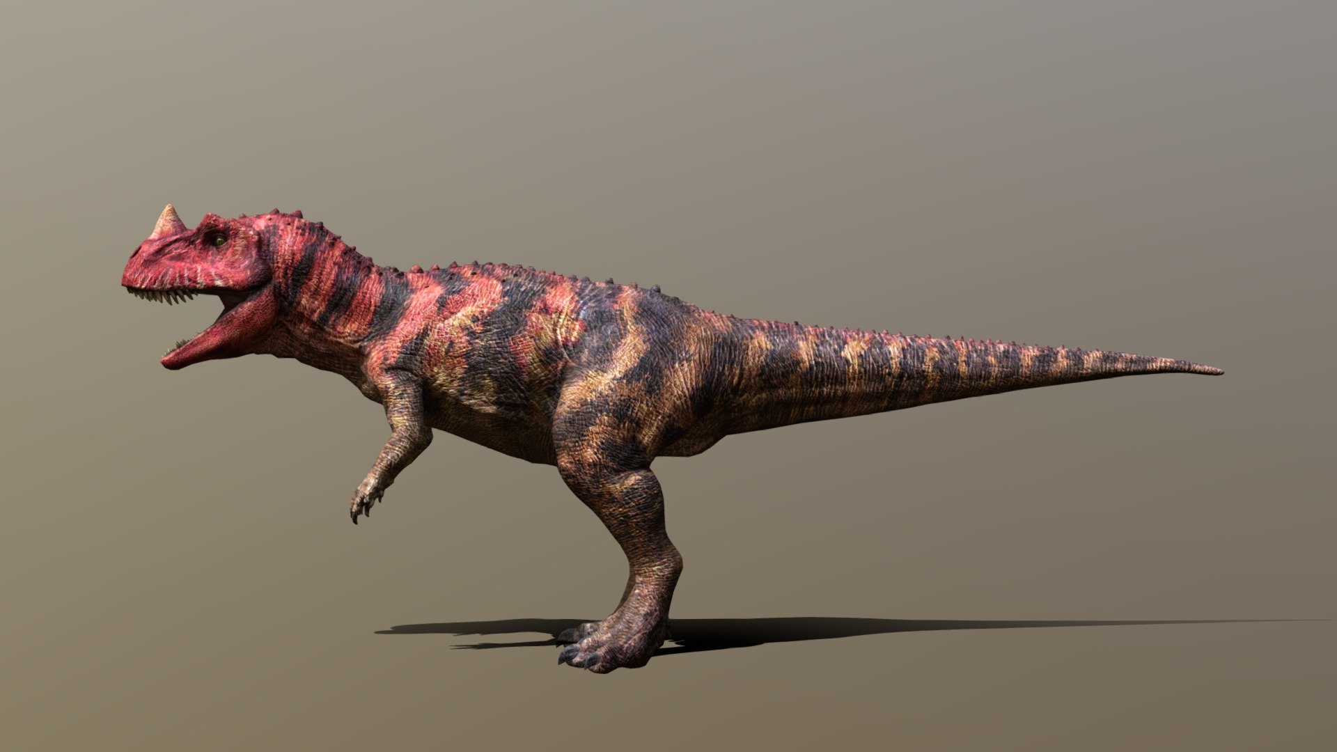 Jurassic park 3: Ceratosarusus 3d model