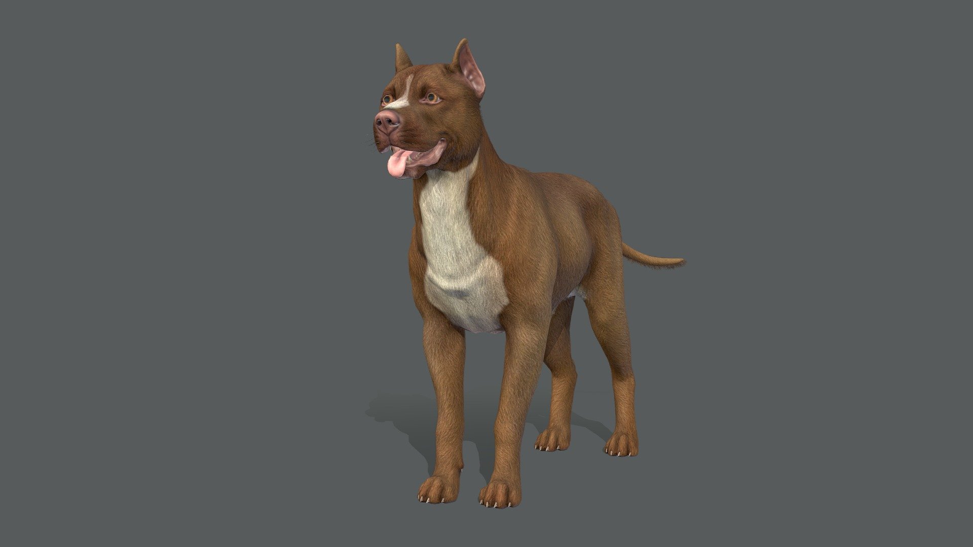 Dog 3d model