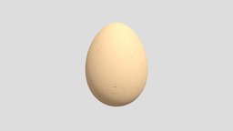 An Egg