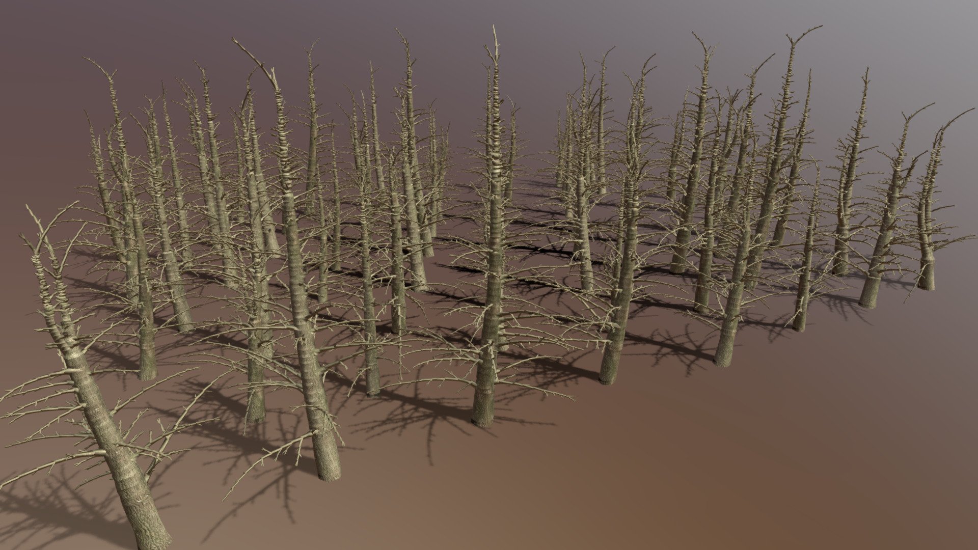 64 Dead Fir Trees Pack (low-Poly) 3d model