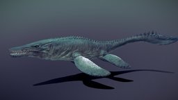 Mosasaurus