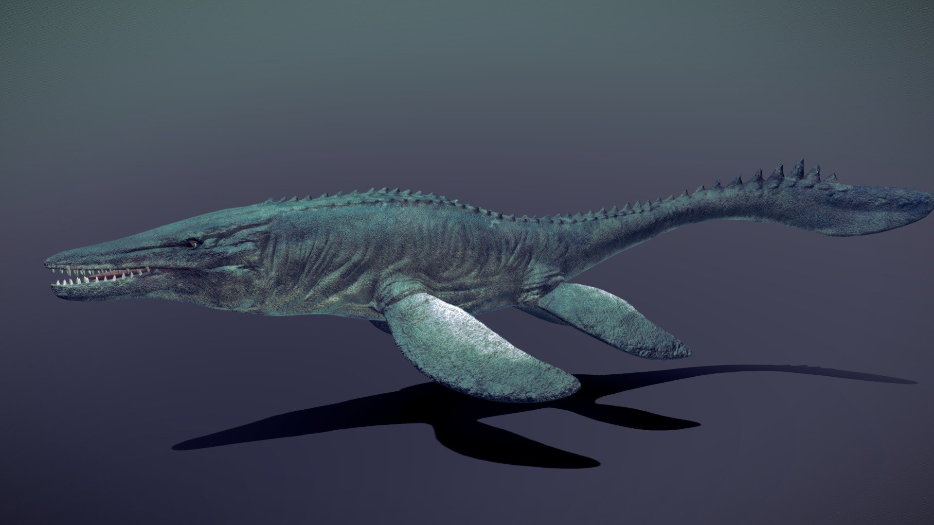 Mosasaurus 3d model