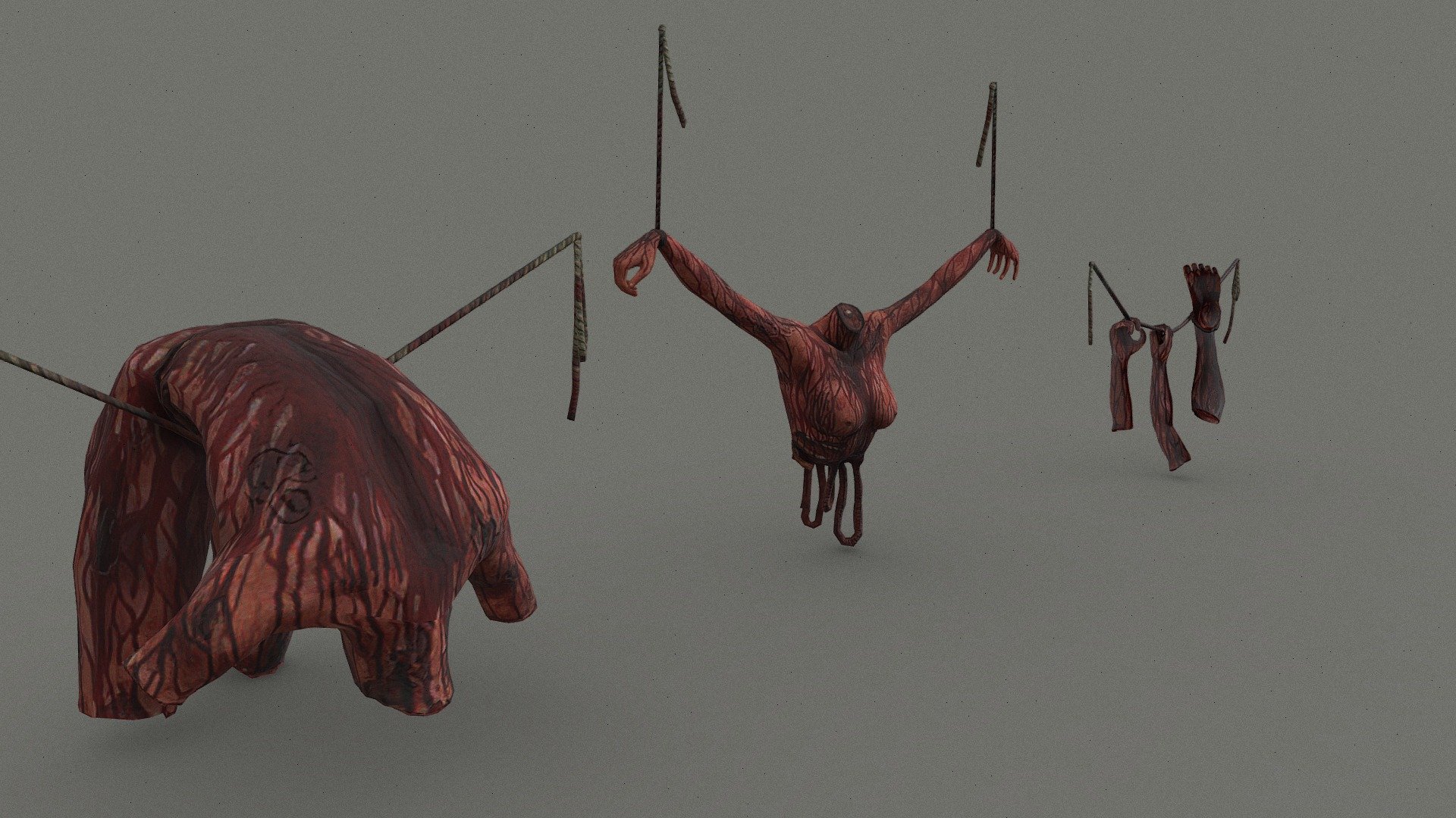 Hanged Organs 3d model