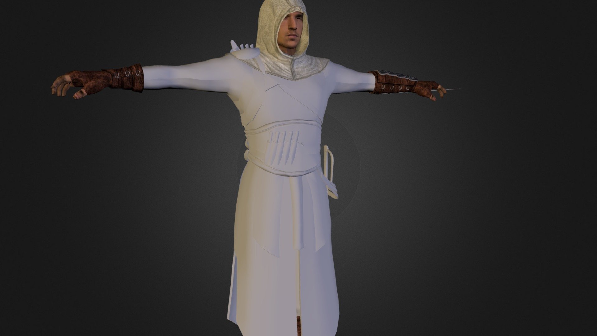 Assasin creed 3d model