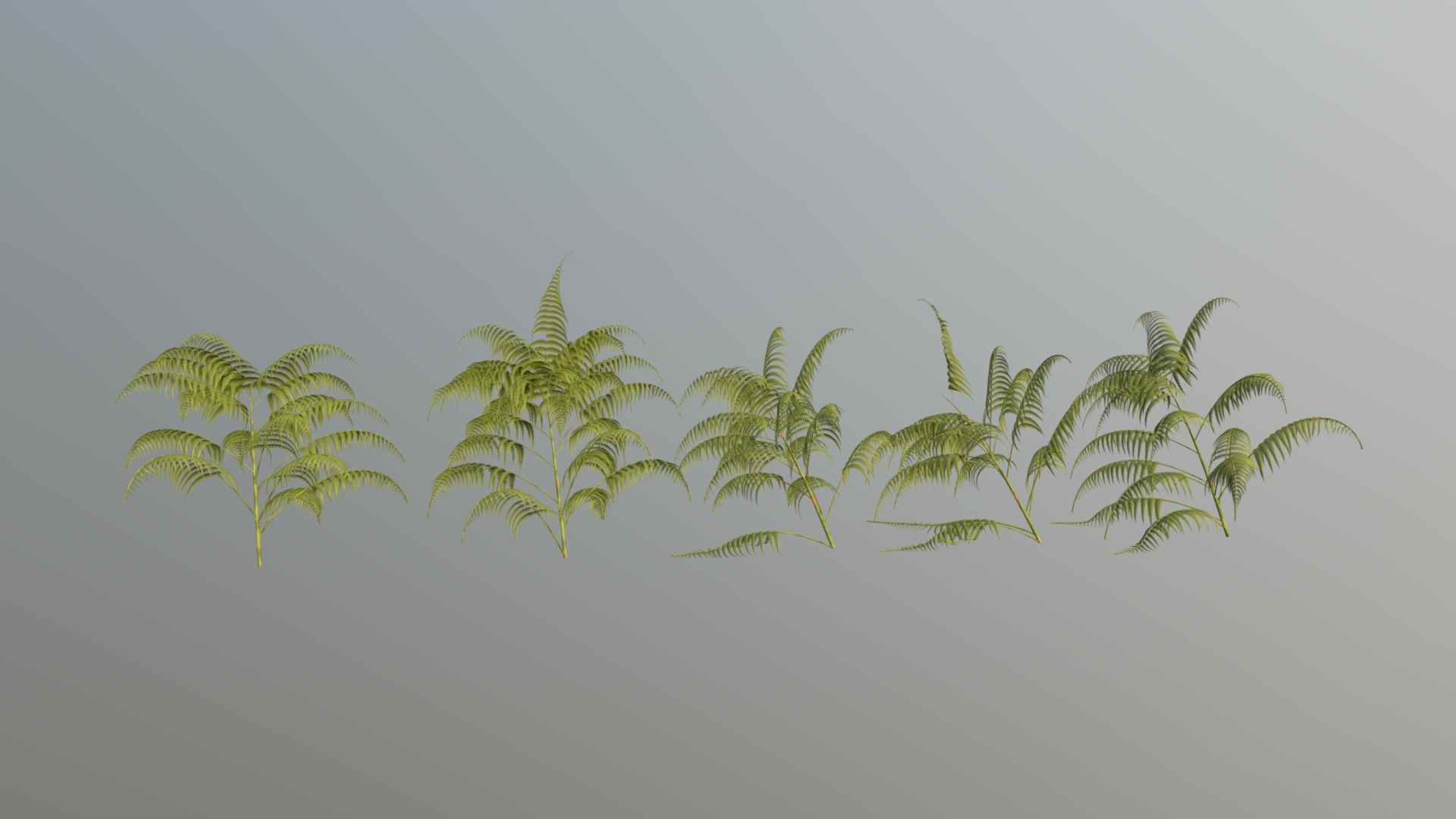 Fern Pack 3d model