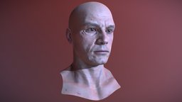 Man Head Model