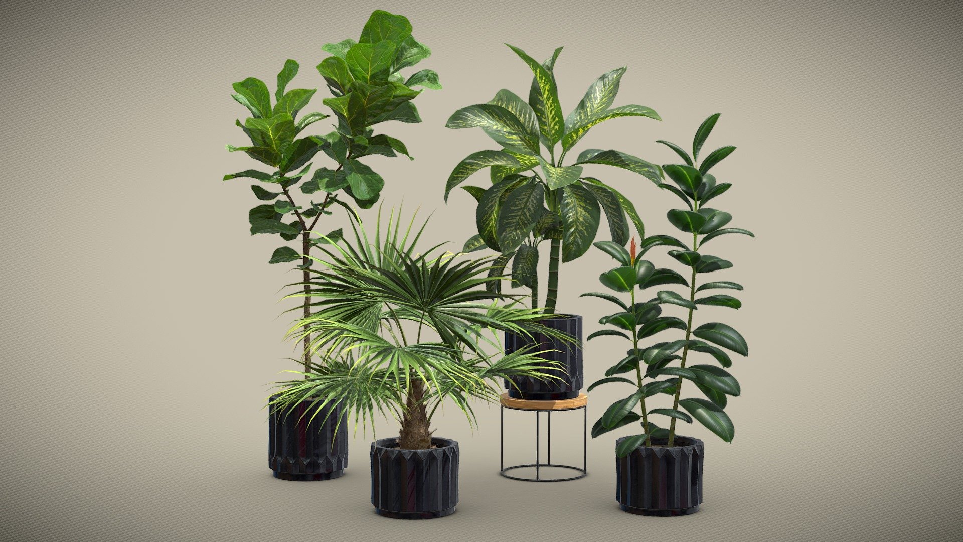 Indoor Plants Pack 45 3d model