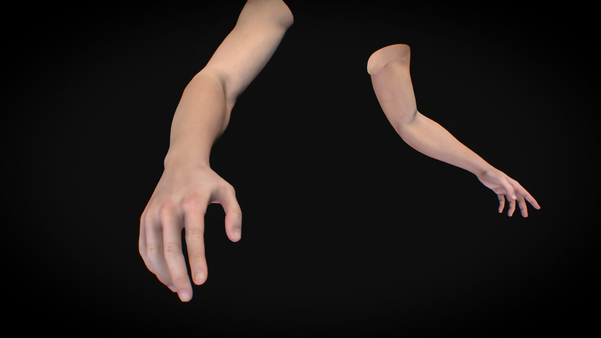 Male Hand Rigged 3d model