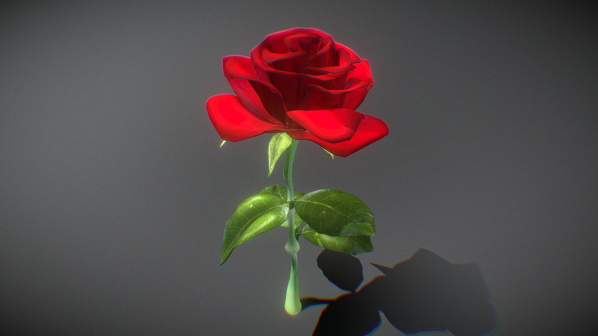 Rose 3d model