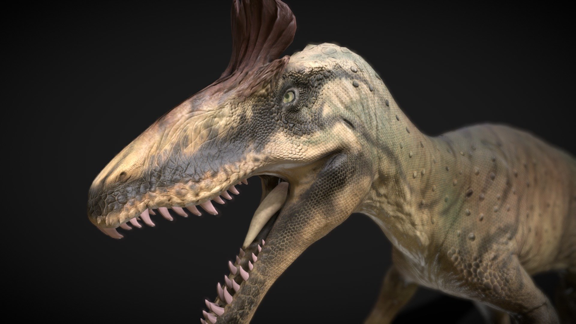 Crylophosaurus 3d model